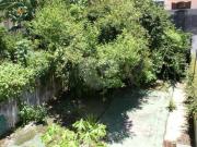 Imoveis no Jardim Paraíso