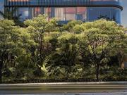 Imoveis no Jardim Paulista