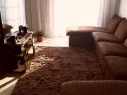 Imoveis no Jardim Roberto