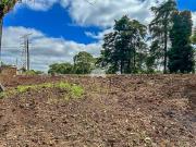 Imoveis no Jardim São Carlos