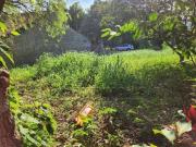 Imoveis no Jardim São Paulo