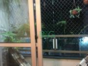 Imoveis no Jardim Santa Terezinha Zona Leste