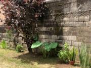 Imoveis no Jardim Satélite