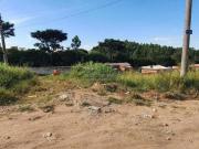 Imoveis no Jardim Sul América