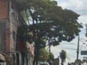 Imoveis no Jardim Tereza Maria