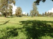 Imoveis no Loteamento Alphaville Campinas