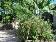 Imoveis no Parque das Bandeiras