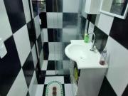 Imoveis no Parque das Paineiras