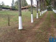 Imoveis no Parque Valinhos