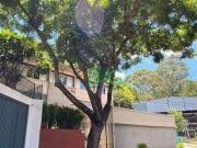 Imoveis no Sumarezinho