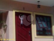 Imoveis no Vila Amália Zona Norte