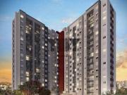 Imoveis no Vila Maria Baixa