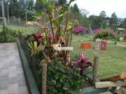 Imóvel de 24 mil m² é uma propriedade incrível!