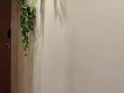 Imóvel para aluguel possui 30 metros quadrados com 1...