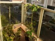 Imperdível oportunidade: Apartamento à venda em São José...