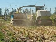 Imporante Propiedad Agricola Ganadero