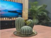 impresionante bajos reformado en zona centro