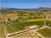 Impresionante Finca con viña