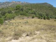 IMPRESIONANTE FINCA! Fantástica Finca en Ager de 110.000 m2