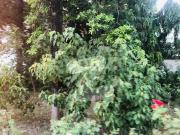 In Askari 7 You Can Find The Perfect House For Rent Askari 7