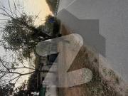 In I 8/2 Sun Face Single Storey House For Sale