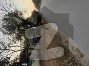 In I 8/2 Sun Face Single Storey House For Sale I 8/2