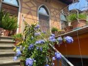 IN TERRATETTO SANT´ AMBROGIO PIAZZA SANTA CROCE...