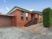 In the Heart of Heidelberg