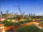 In The Heart Of The City