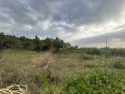 In vendita – Terreno agricolo con fabbricato rurale a La...