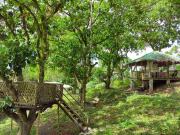 Income Generating Farm Lot for Sale in San Jose Del...