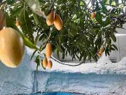 INCOME GENERATING STAYCATION FOR SALE