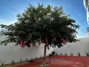 Increíble casa amueblada a estrenar solo un depósito!