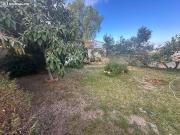 Increible Chalet en la mejor zona de Malaga! con 5...