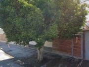 INCREIBLE OPORTUNIDAD DE INVERSION PROPIEDAD EN VENTA...