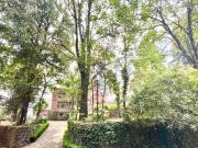 Oportinidad! Increíble terreno boscoso con 3 casas!