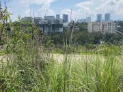 Increíble Terreno de Oportunidad en Bosque Real