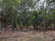 Increíble terreno en los pinos