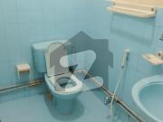 Independent House Available For Rent Westridge