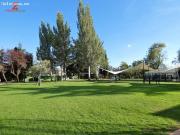 INDEPENDIENTE MOLINO DE LA HOZ