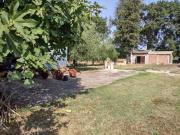 Indipendente in vendita a Jesi