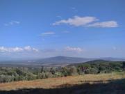 Indipendente in vendita a Roccastrada