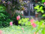 Tours 37000 Centre ville Maison 328M² 5/6 Chambres....