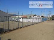 Industrial en Arriendo en Galpón en Camino Internacional