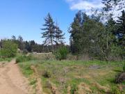 Industrial en Venta en Hacienda reñaca