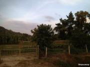 industrial land @juru