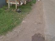 INDUSTRIAL LOT FOR WAREHOUSE/ BODEGA IN SASA FOR SALE