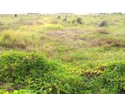 Industrial Lot near Airport NAIA Accessible to Trucks...