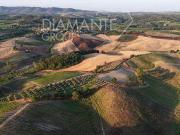 Industriale Castelnuovo Berardenga ToscanaTuscany DS97103320