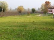 Industriale in vendita a Ceregnano